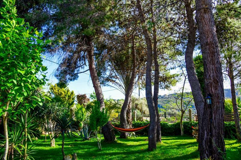 Villa Swan Λευκάδα Εξωτερικό φωτογραφία